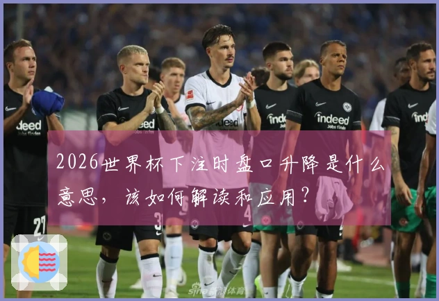 2026世界杯下注时盘口升降是什么意思，该如何解读和应用？