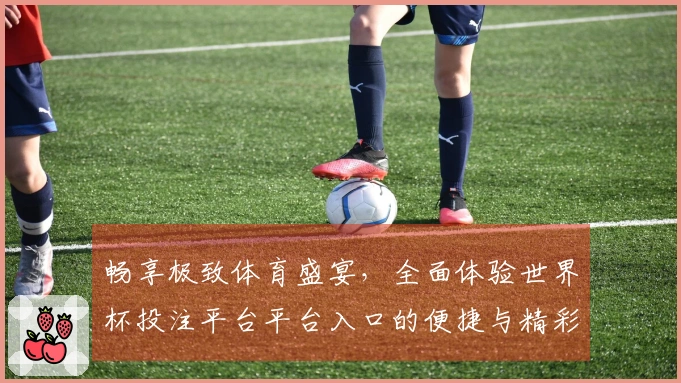 畅享极致体育盛宴，全面体验世界杯投注平台平台入口的便捷与精彩