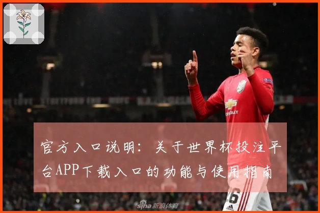 官方入口说明：关于世界杯投注平台APP下载入口的功能与使用指南