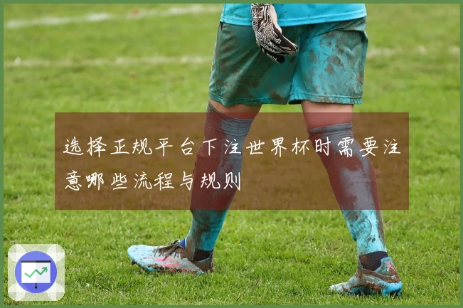 选择正规平台下注世界杯时需要注意哪些流程与规则