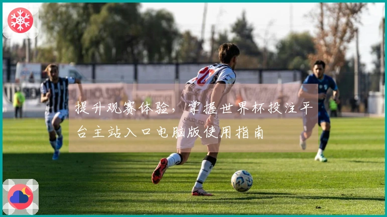 提升观赛体验，掌握世界杯投注平台主站入口电脑版使用指南