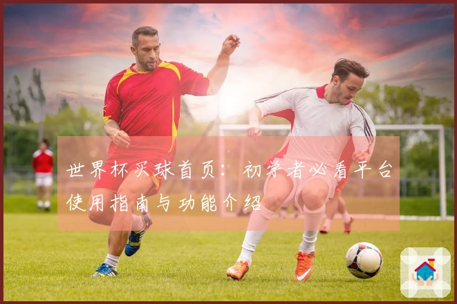 世界杯买球首页：初学者必看平台使用指南与功能介绍