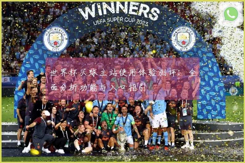 世界杯买球主站使用体验测评：全面分析功能与入口指引