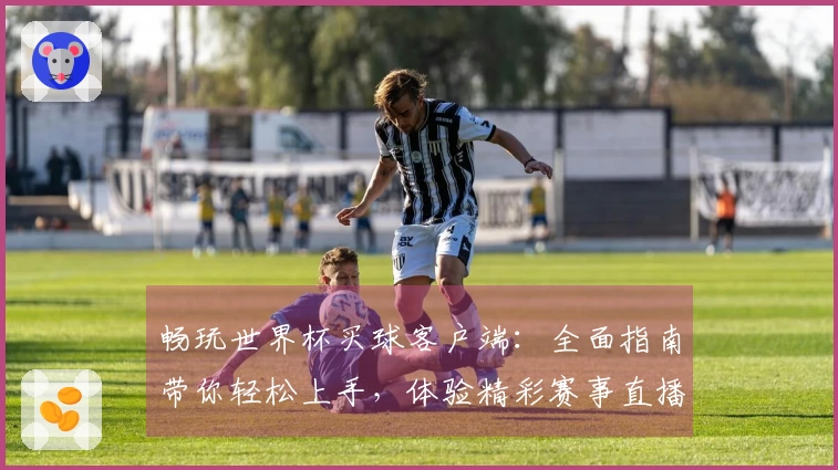畅玩世界杯买球客户端：全面指南带你轻松上手，体验精彩赛事直播