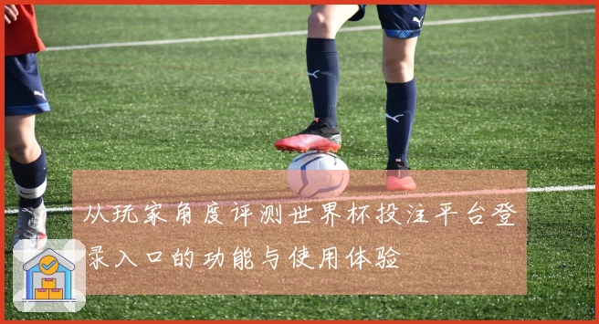 从玩家角度评测世界杯投注平台登录入口的功能与使用体验