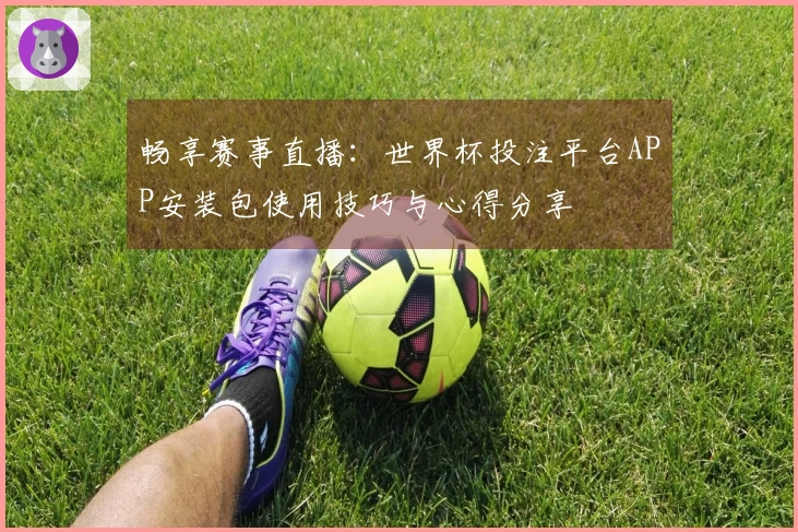 畅享赛事直播：世界杯投注平台APP安装包使用技巧与心得分享