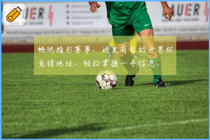 畅玩精彩赛事，这里有你的世界杯竞猜地址，轻松掌握一手信息。