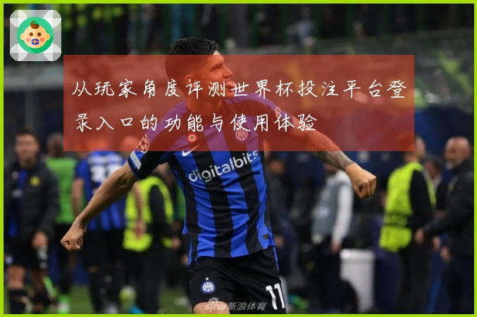 从玩家角度评测世界杯投注平台登录入口的功能与使用体验