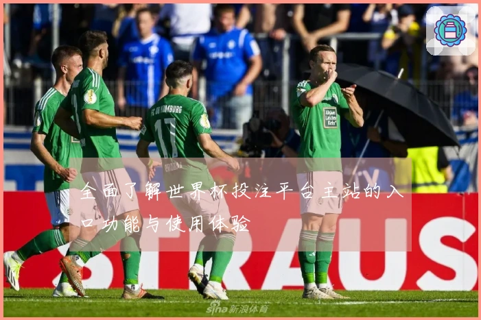 全面了解世界杯投注平台主站的入口功能与使用体验