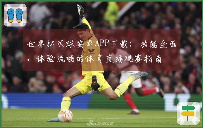 世界杯买球安卓APP下载:功能全面,体验流畅的体育直播观赛指南