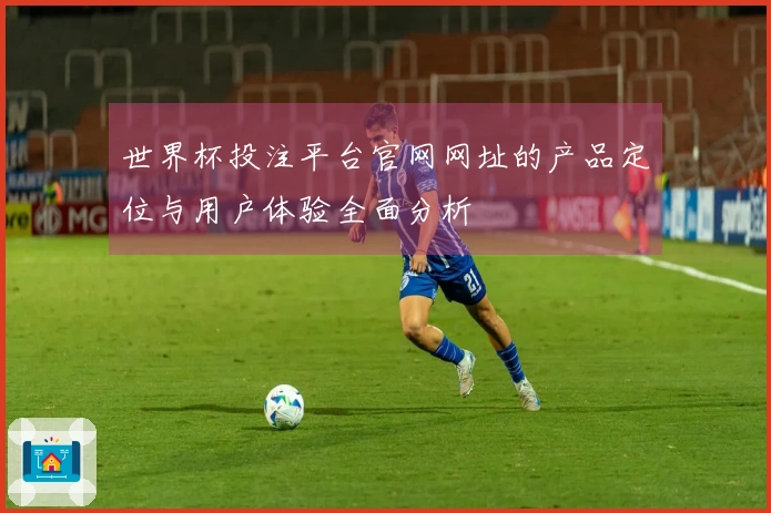 世界杯投注平台官网网址的产品定位与用户体验全面分析