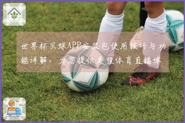 世界杯买球APP安装包使用技巧与功能详解，为您提供更佳体育直播体验