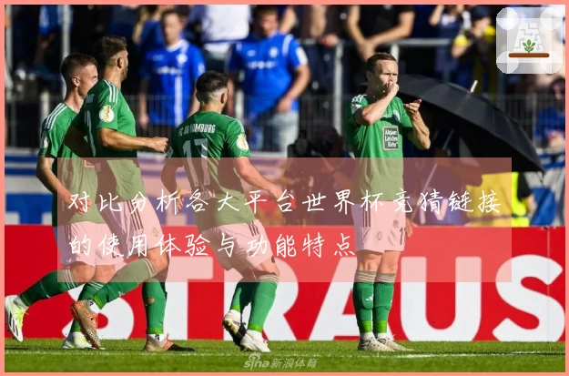 对比分析各大平台世界杯竞猜链接的使用体验与功能特点